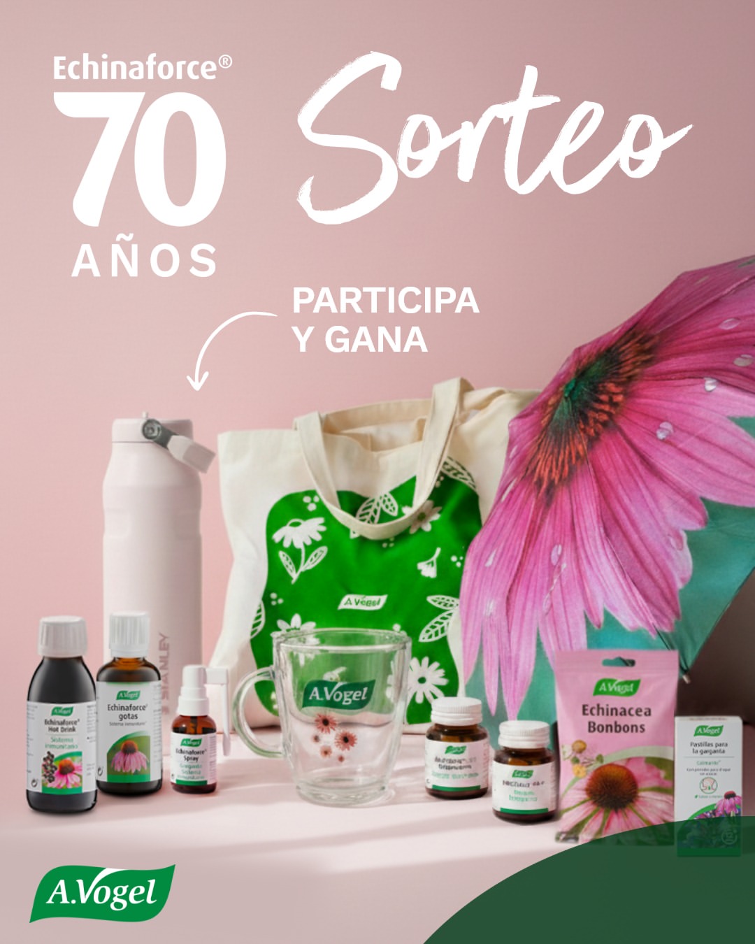 Imagen de ¡Hoy es el Día Mundial de la Echinacea purpurea!
 
Para ce