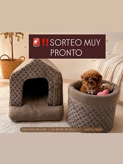 Imagen de ¿Quieres que este conjunto de lujo sea tuyo? 👑
Tenemos u