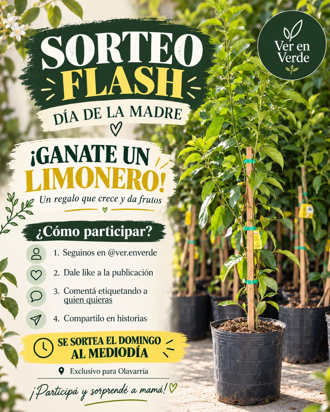 Imagen de 🍋🌸 ¡SORTEO FLASH POR EL DÍA DE LA MADRE! 🌸🍋

�