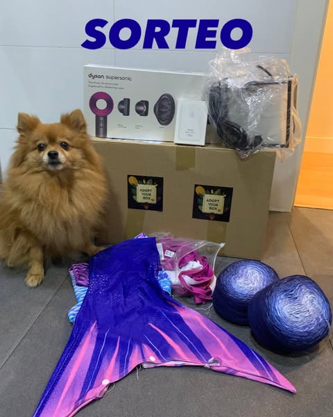 Imagen de ¡SORTEO MISTERIOSO! 📦✨

¿Os imagináis recibir una ca