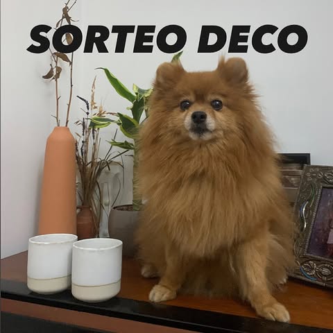 Imagen de ¡SORTEO DE BIENVENIDA AL VERANO! 🥳✨ 
¡Por fin os lo p