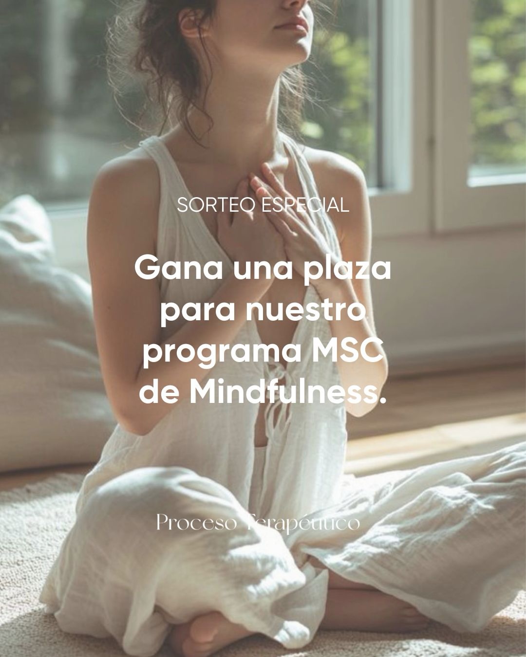 Imagen de ✨SORTEO EXPRÉS✨

SORTEAMOS 1 PLAZA PARA NUESTRA FORMACI