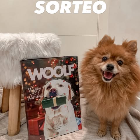 Imagen de 🎄✨ ¡SUPER SORTEO WOOLF! ✨🎁
¡Llega la magia de la