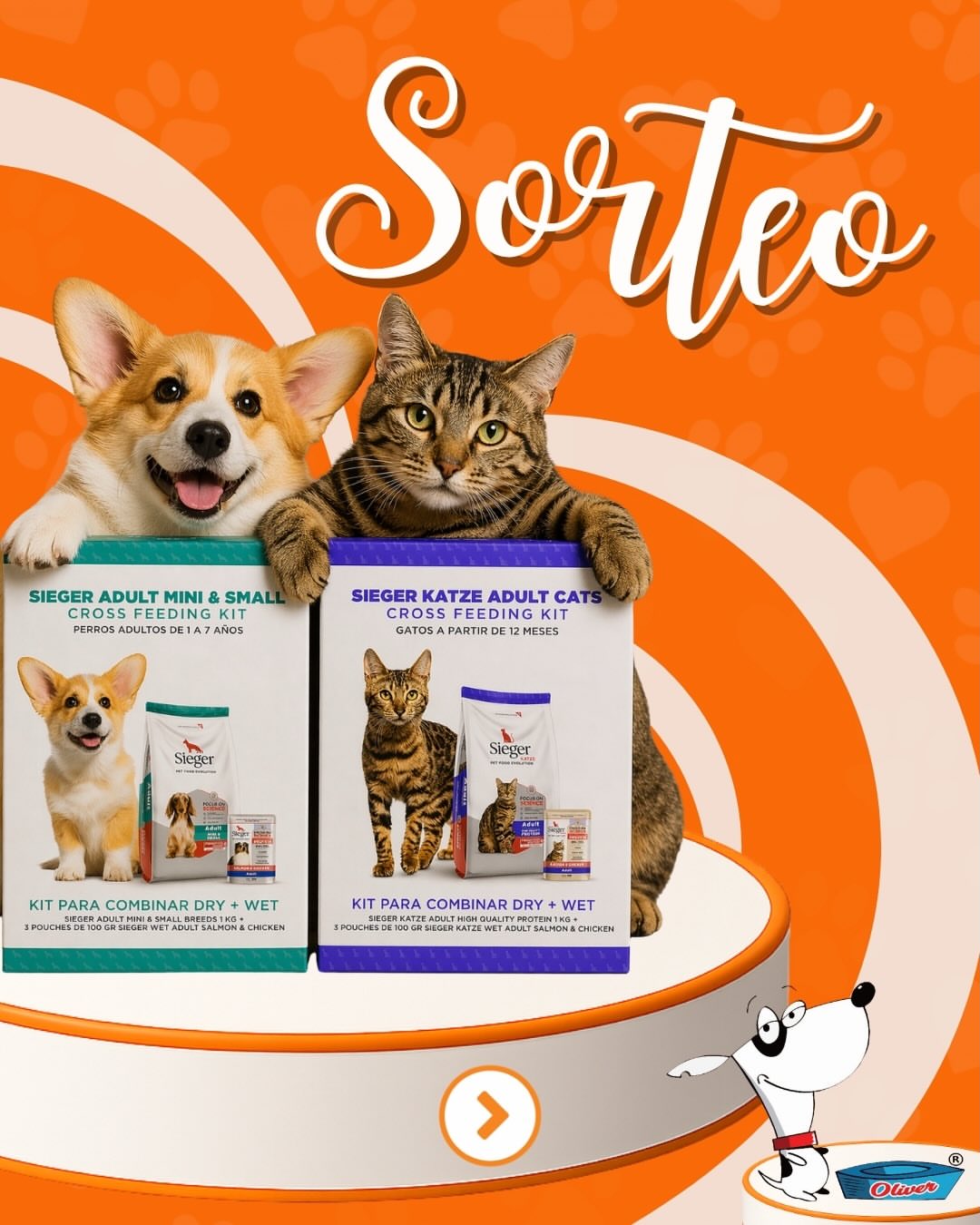 Imagen de 🎉 Sorteo Día del Animal 🐾

Celebramos el 29 de abril 