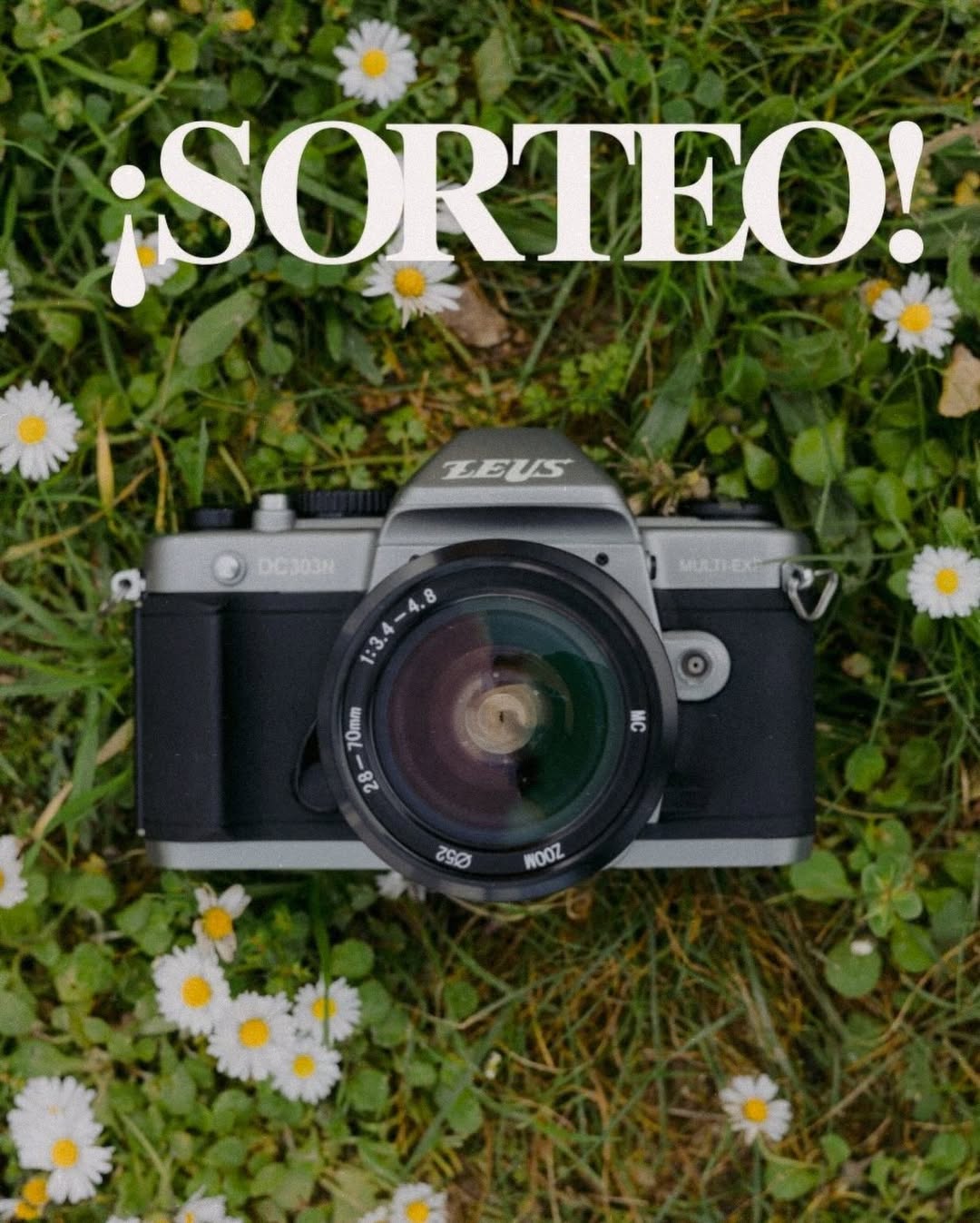 Imagen de ✨Sorteo de Reyes ✨

Que mejor forma de empezar el año q