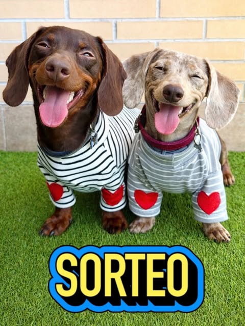 Imagen de SORTEO ‼️

¡Para celebrar el fin de semana os traemos o