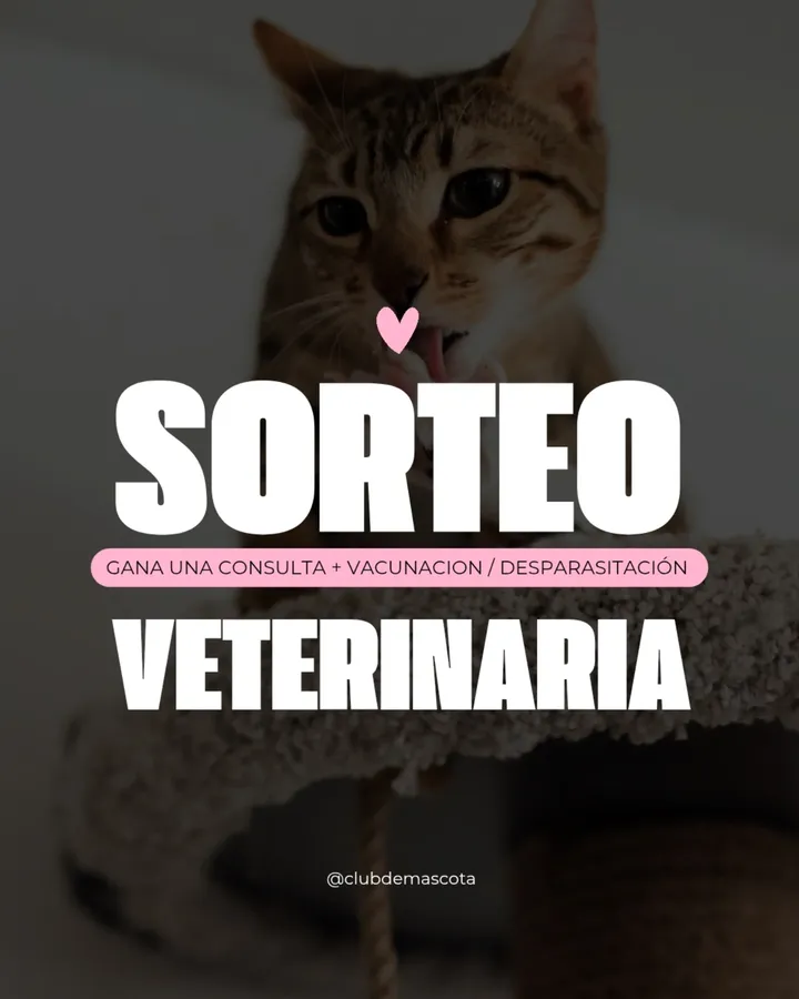 Imagen de MÁS COMENTARIOS, MÁS CHANCES 👇
Cuánto tiempo pasó des