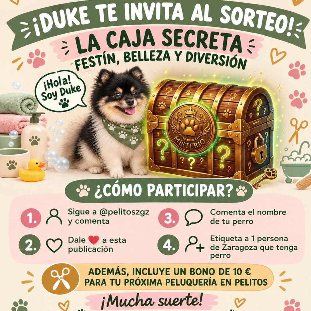 Imagen de 🎁✨ ¡SORTEO LA CAJA SECRETA! ✨🎁

🐶 ¡DUKE TE IN
