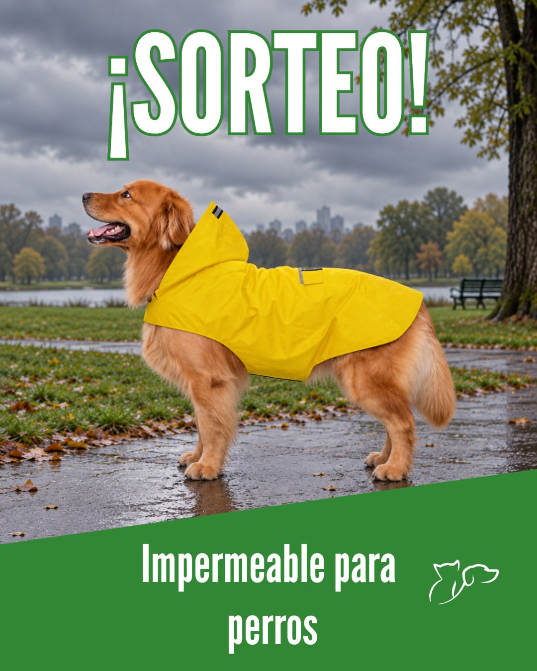 Imagen de ¡¡SORTEO!! 📢📢⁣
⁣
Octubre ha hecho acto de presen
