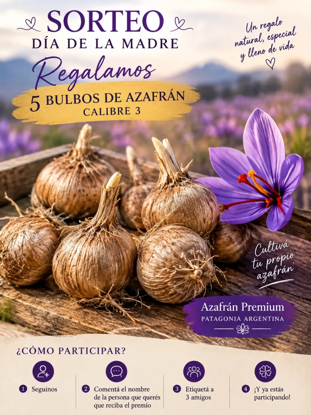 Imagen de 🎁 Festejamos el día de la madre❤️

-
🌸🌸 Cómo 