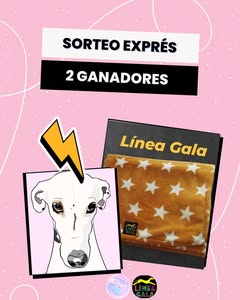 Imagen de 🌸SORTEO 🌸

Junto a @lineagala os traigo este sorteo co