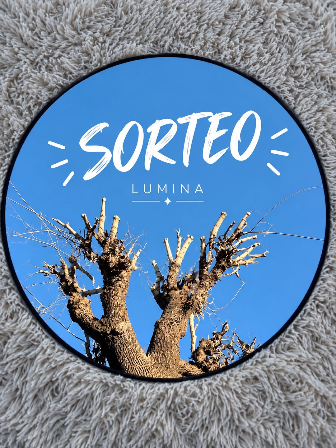 Imagen de ✨ ¡SORTEO LÚMINA! ✨

Tenemos una sorpresa para vos �