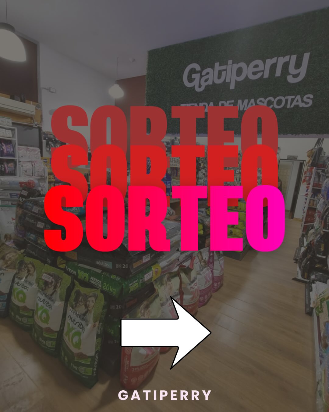 Imagen de GRAN SORTEO EN GATIPERRY!! 🐱🐶

El 31/01 sorteamos 3 ó
