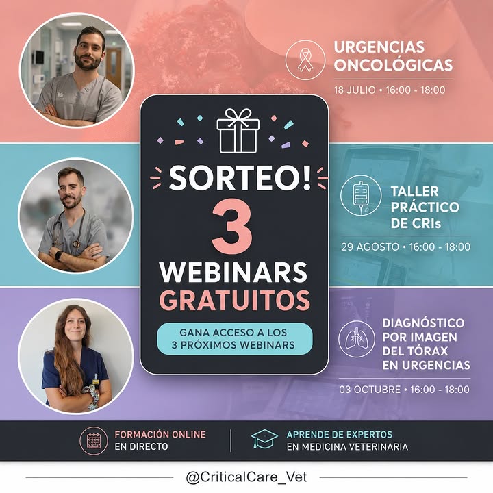 Imagen de 🎉 ¡SORTEO! 🎉

¿Te gustaría asistir GRATIS a uno de 