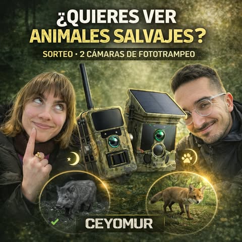Imagen de 🍀SORTEO de 2 cámaras de fototrampeo CEYOMUR🤘🏻

➡