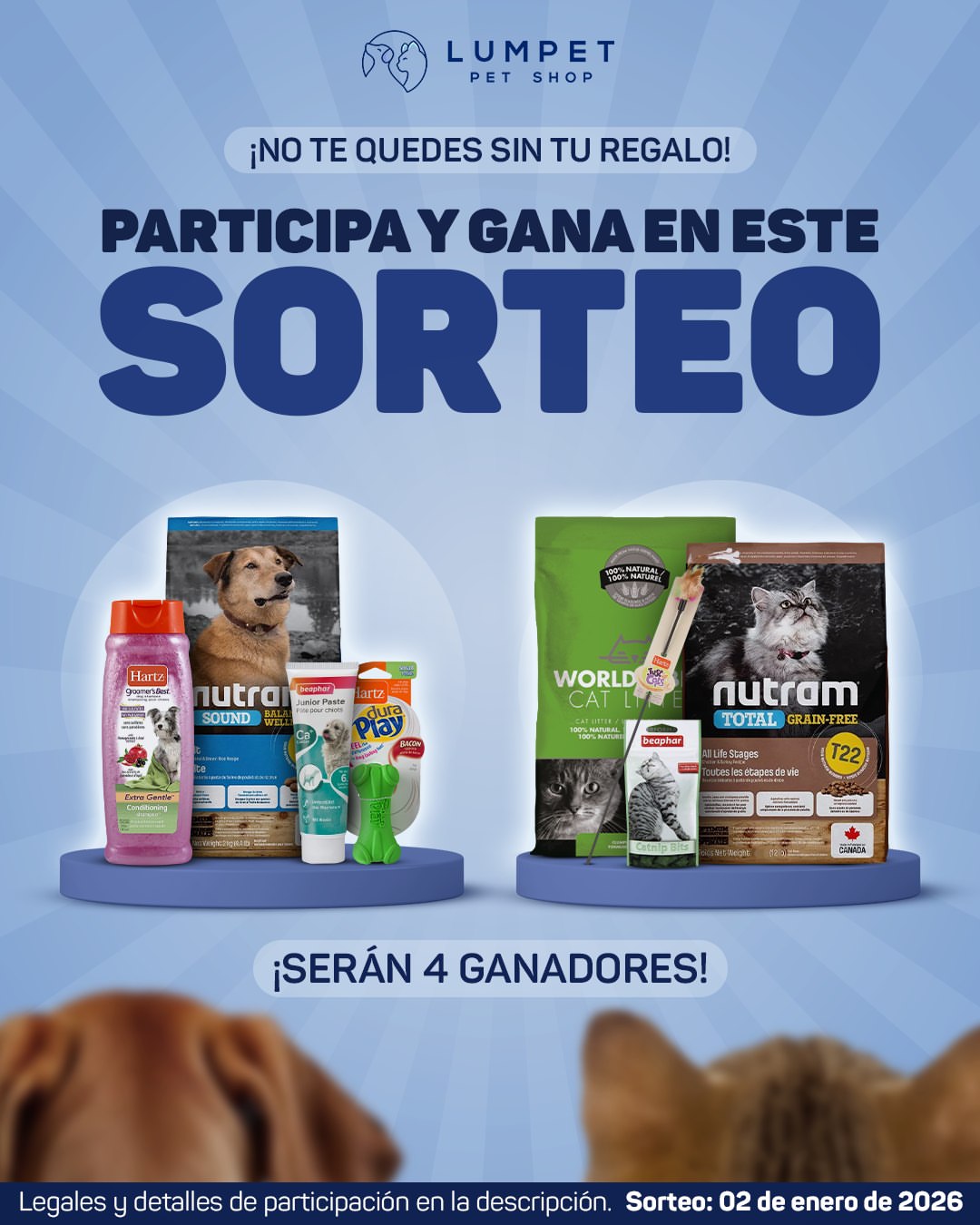 Imagen de 🎁 ¡No te quedes sin tu regalo! Aún puedes sorprender a 