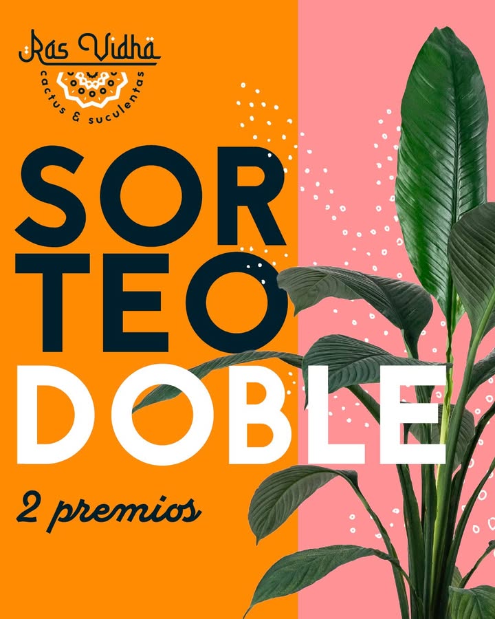 Imagen de 🪴 ¡SORTEO DOBLE de Ras Vidha! ¡Dos premios para hacer e