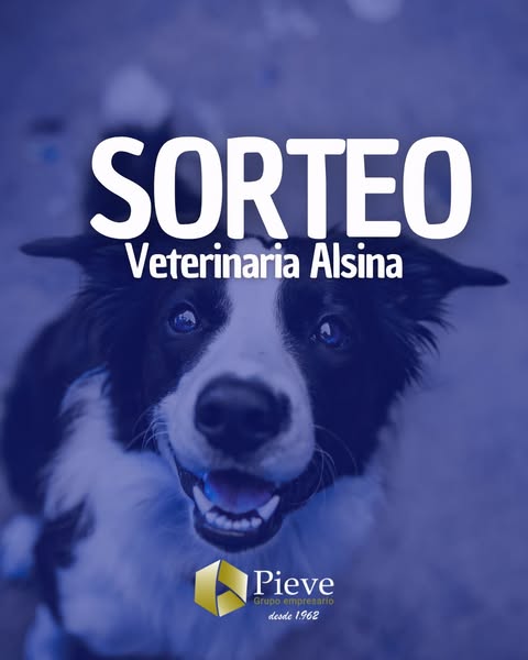 Imagen de Este verano vos y tu mascota disfrutan más 🐶♥️🎁

