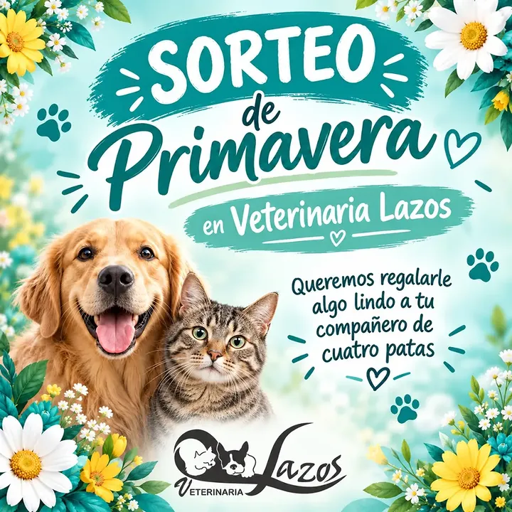 Imagen de 🌸🐾 SORTEO DE PRIMAVERA EN VETERINARIA LAZOS 🐾🌸

