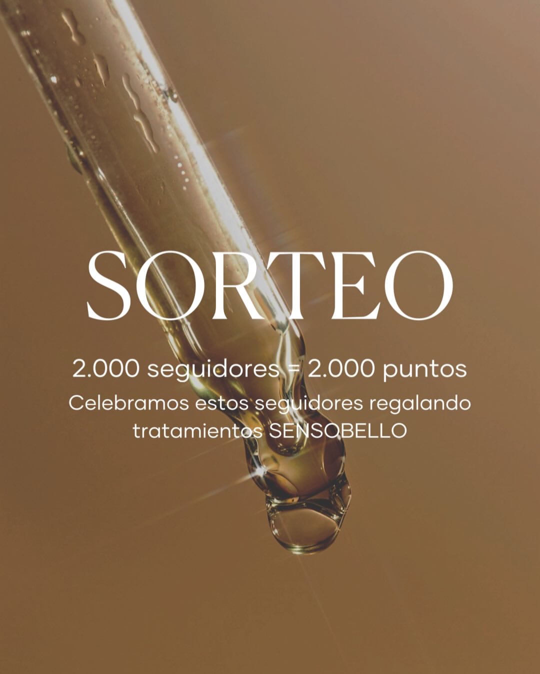 Imagen de 2.000 seguidores. 2.000 puntos. ✨

Lo celebramos sorteando