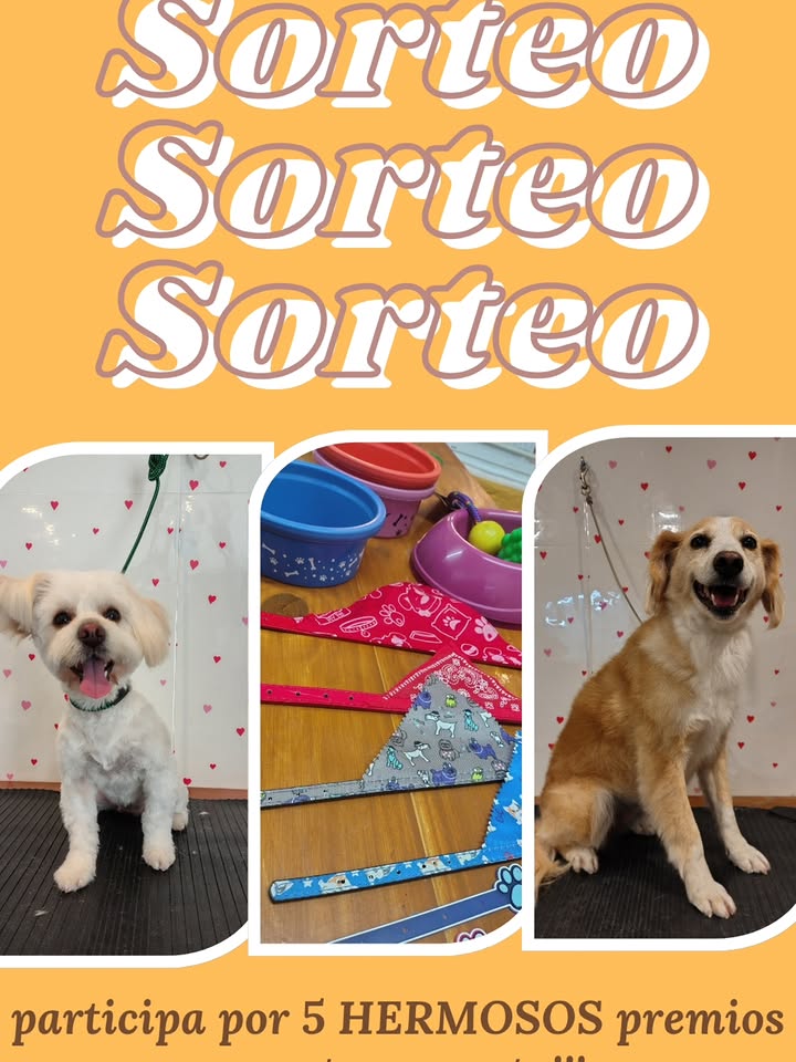 Imagen de 😃LARGAMOS ESTE HERMOSO SORTEO EXPRESS CON 5 GANADORES!! �