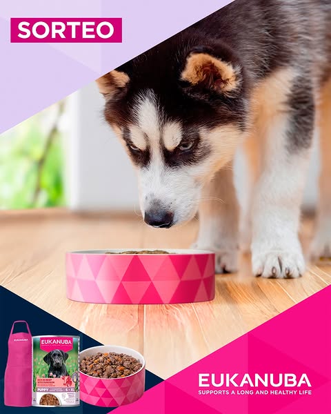 Imagen de El alimento húmedo #EUKANUBA para Cachorros 🐶 Rico en Te