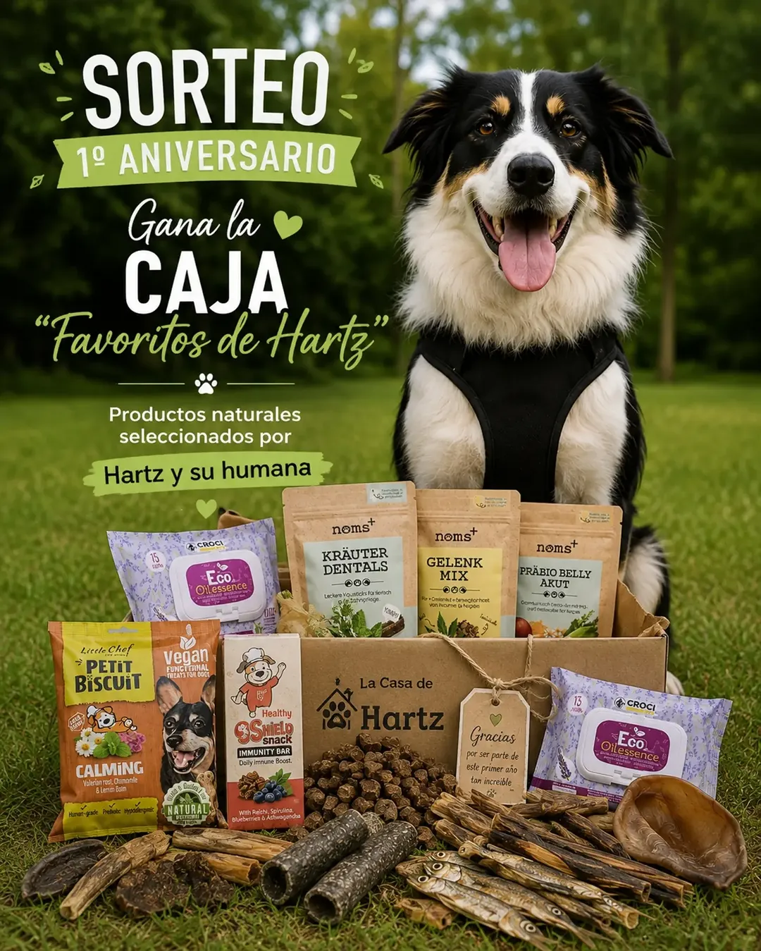 Imagen de 🎉 ¡LA CASA DE HARTZ CUMPLE 1 AÑO! 🎉

Dentro de poco 