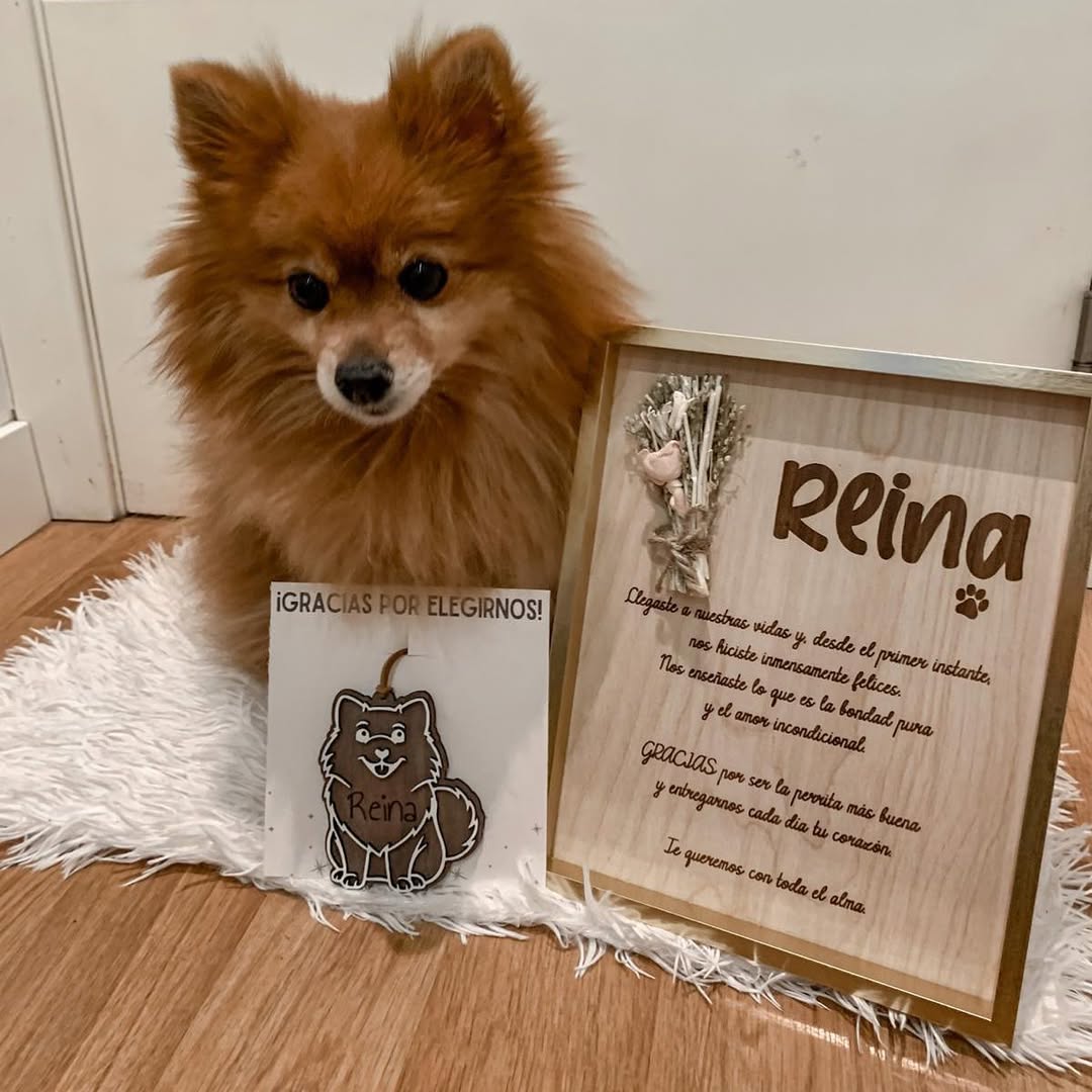 Imagen de 🖼️✨ ¡SORTEO HAZLOÚNICO_STUDIO! ✨🖼️
¡Estamos