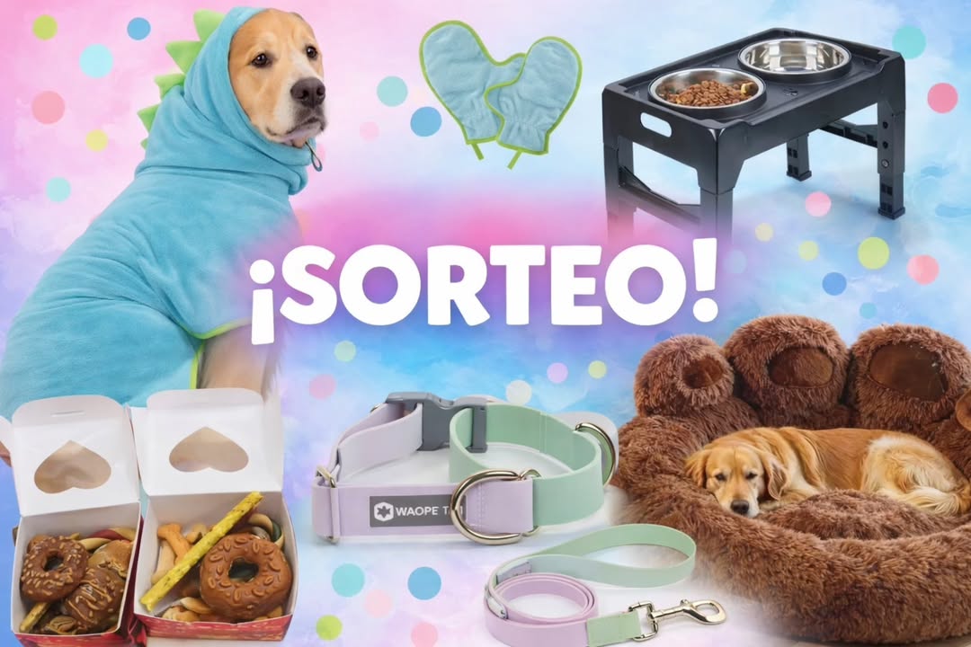 Imagen de 🎉 ¡SORTEO! 🎉

Porque nuestros peludos se merecen lo m