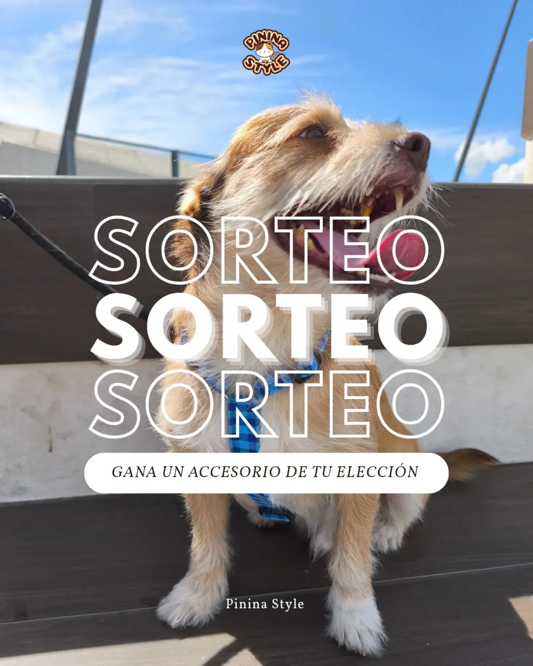 Imagen de 💥 ¡SORTEO! 💥 Para comenzar el año como se debe sorte