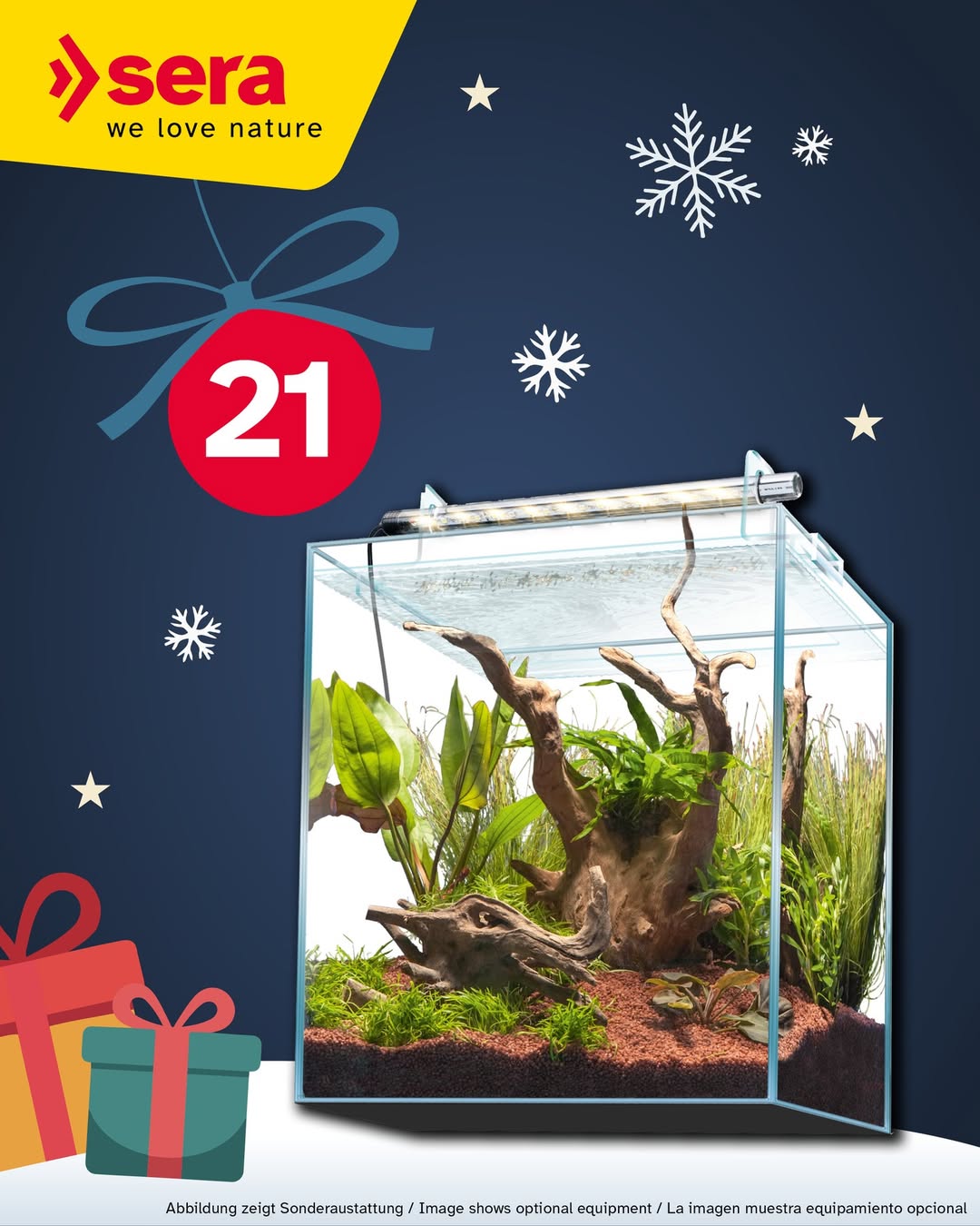 Imagen de 🕯️🕯️🕯️🕯️ Sorteo del 4.º Adviento 🎄�