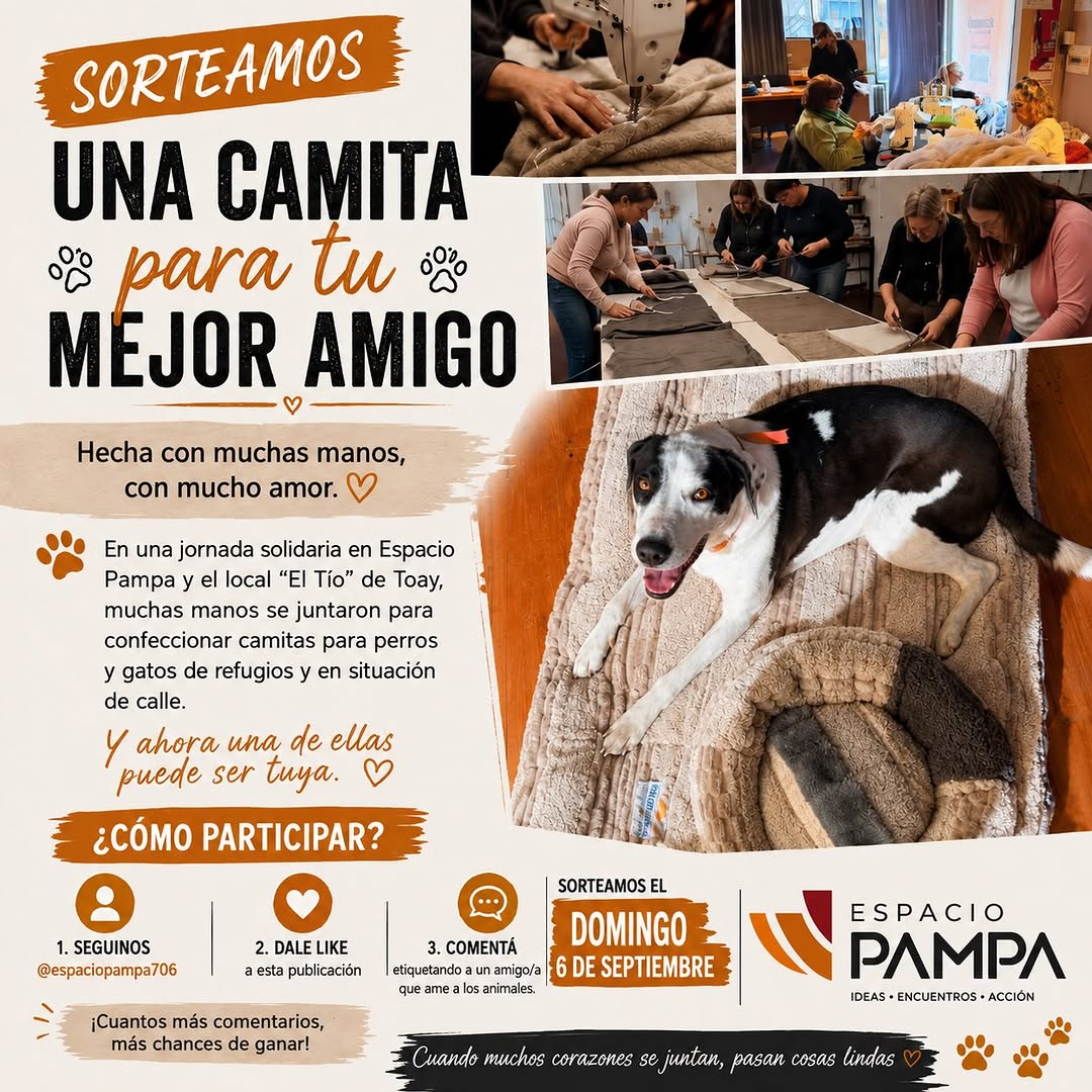 Imagen de 🐾 ¡SORTEAMOS UNA CAMITA PARA TU MEJOR AMIGO!

Hace unos 