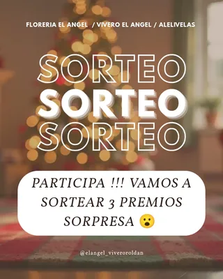 Imagen de Vamos con un sorteo navideño! 🌿💐🕯️
Súmate a jug
