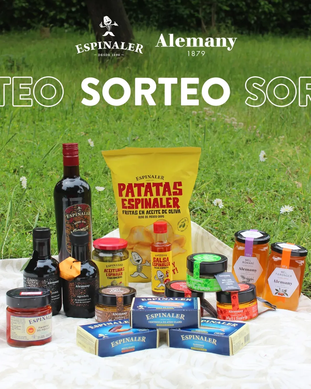 Imagen de SORTEO ESPINALER x ALEMANY!

Hay combinaciones que no fallan