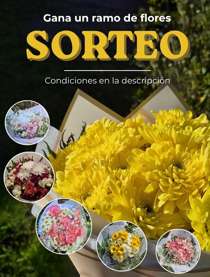 Imagen de Junto a @petali.ramos les traemos un sorteazo!!!

Podes llev