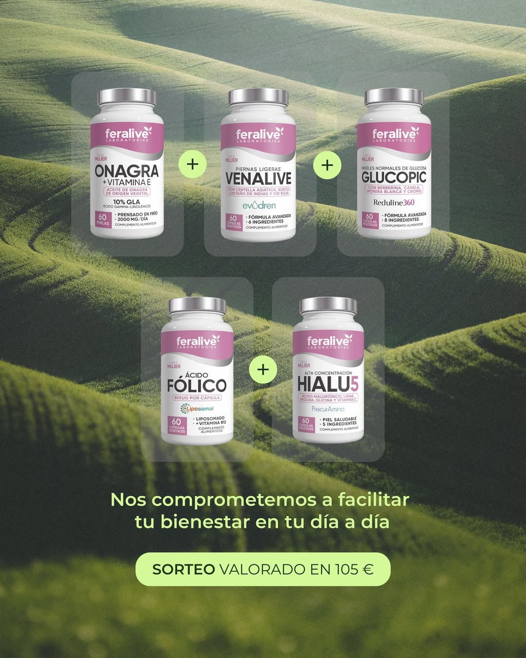 Imagen de ✨SORTEO FERALIVE✨

¿Quieres ganar este maravilloso lote