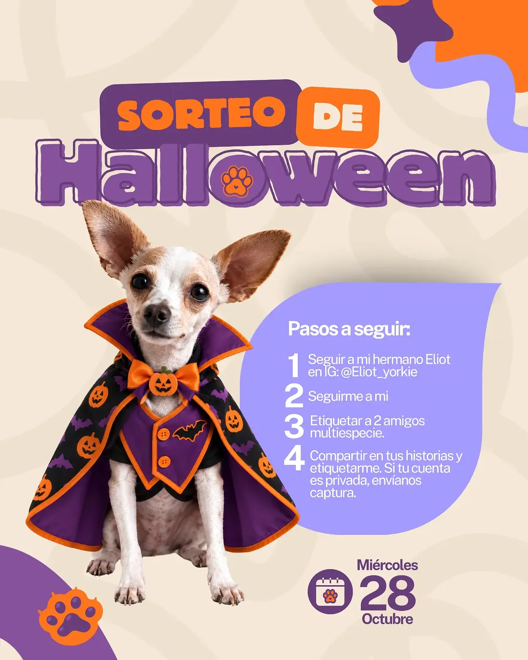 Imagen de SORTEO PARA TODO EL 🇵🇪.
🏆Llévate 4 premios, todo p