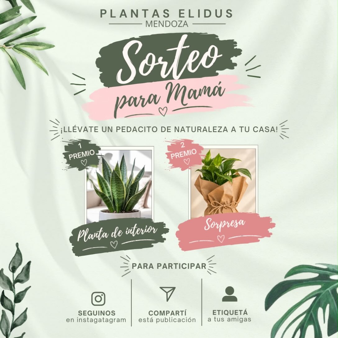 Imagen de ✨ ¡SORTEO PARA MAMÁ! ✨
¿Querés llevarte un pedacito 