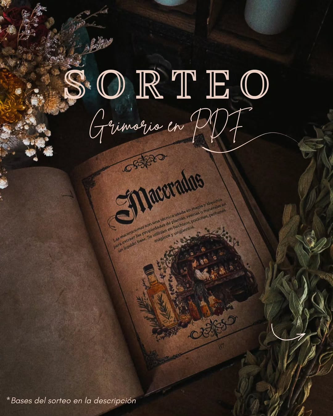 Imagen de ✨🖤 SORTEO MÁGICO 🖤✨

Voy a regalar 1 ejemplar de 