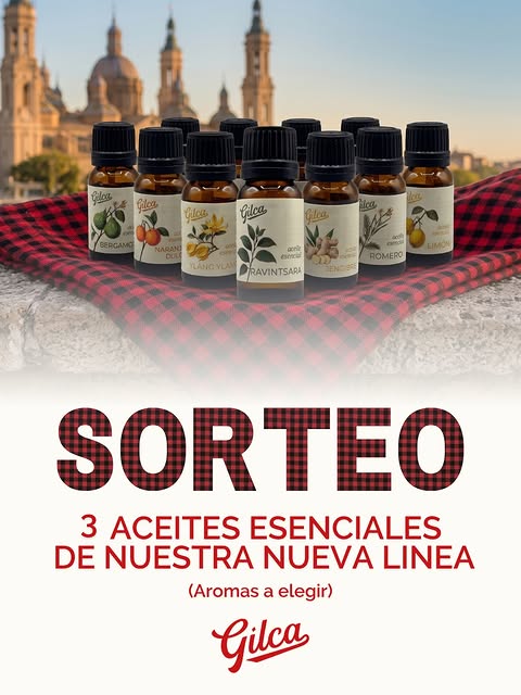 Imagen de Las Fiestas del Pilar ya están a la vuelta de la esquina...