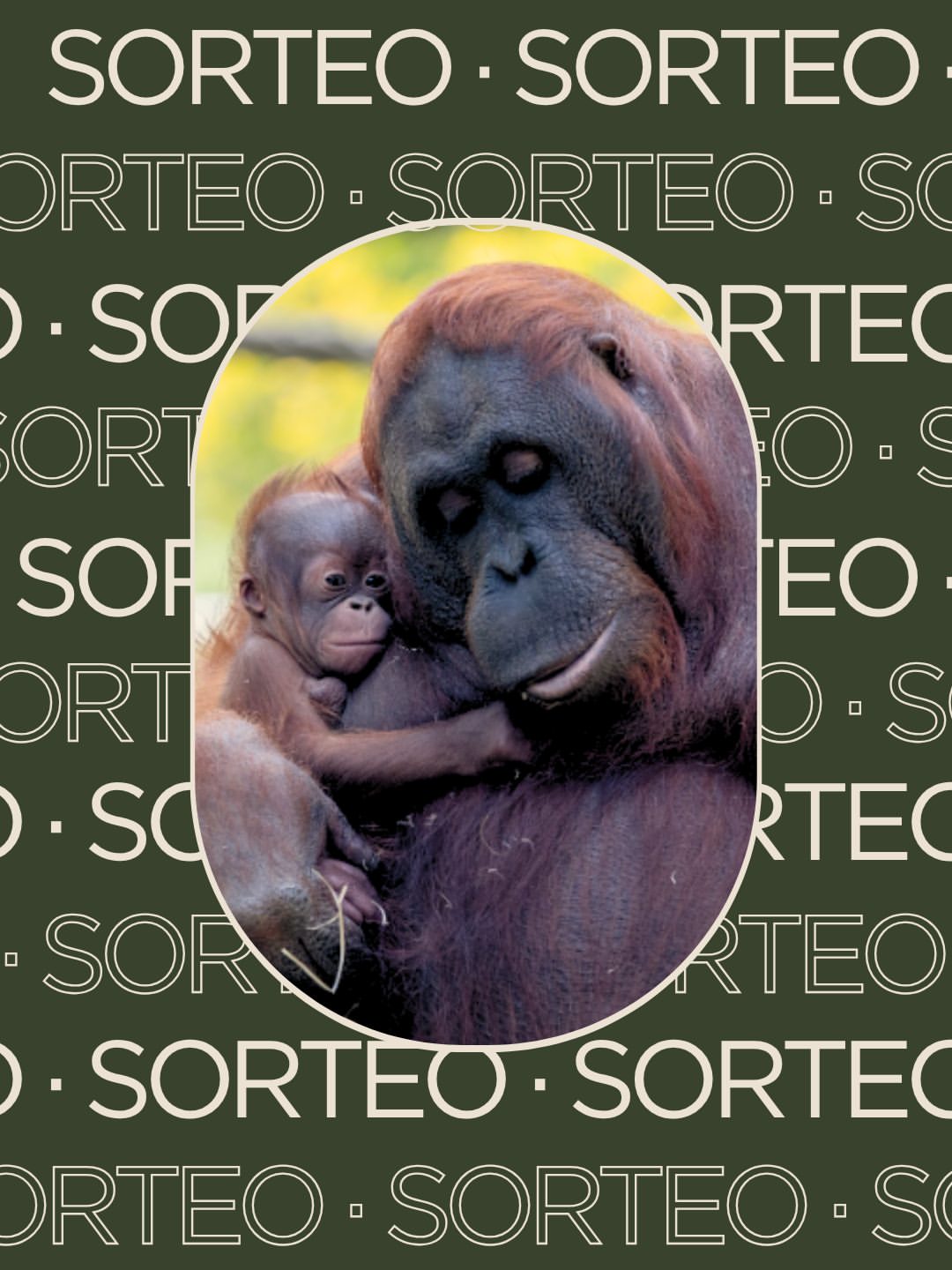 Imagen de 🧡 Hace tres meses llegó Sela, y desde entonces el Zoo la