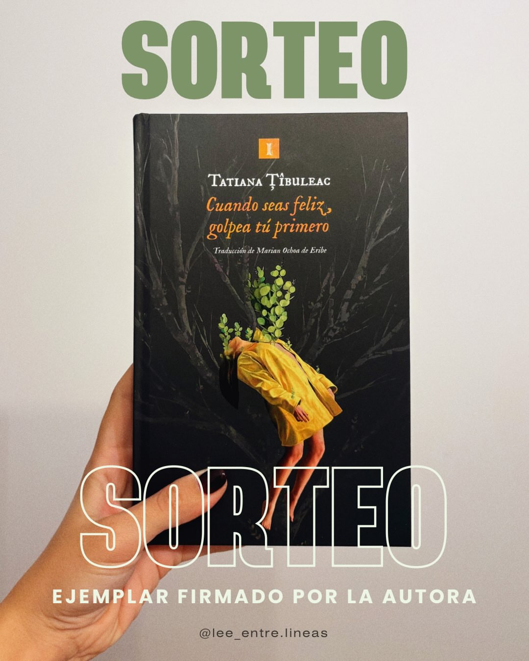 Imagen de ¡SORTEO LITERARIO amiguiñas! 💖🧚‍♂️🤞🏻📚