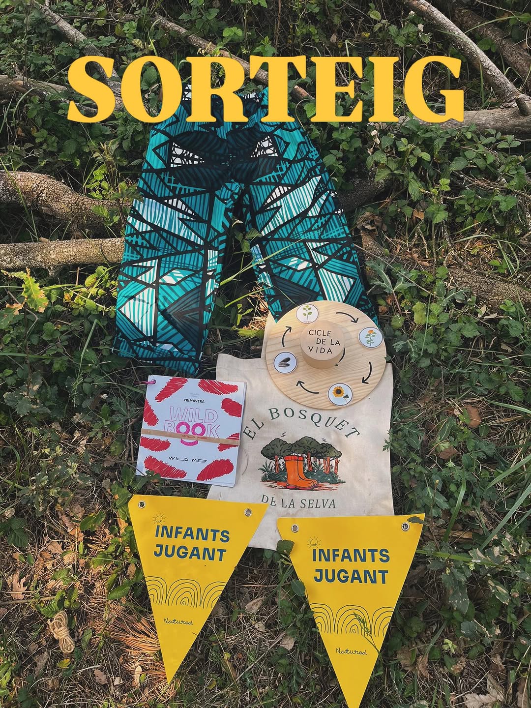 Imagen de Comunitat Escola Bosc i amants de la natura 🌿✨

Ja som 