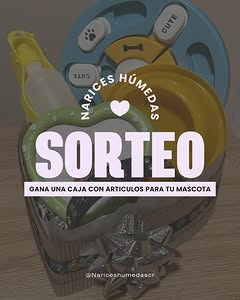 Imagen de ¡SORTEO PARA EL REY O LA REINA DE LA CASA! 🐾✨
Sabemos 