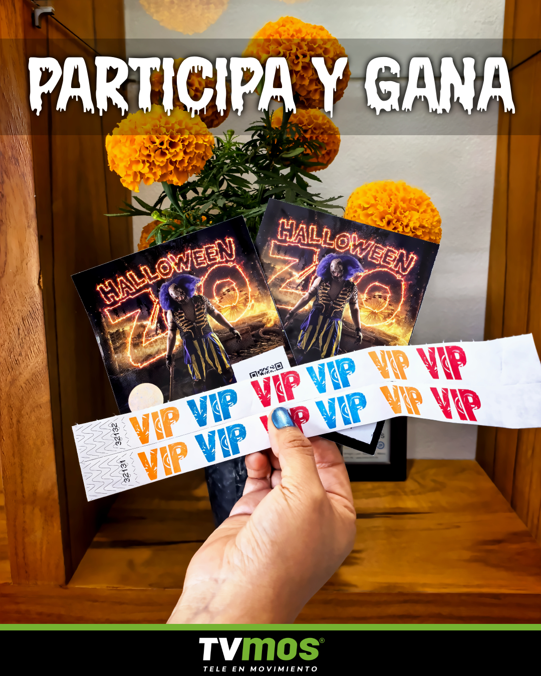 Imagen de 🎃👻 ¡PARTICIPA Y GANA BOLETOS PARA HALLOWEEN ZOO! 🧟