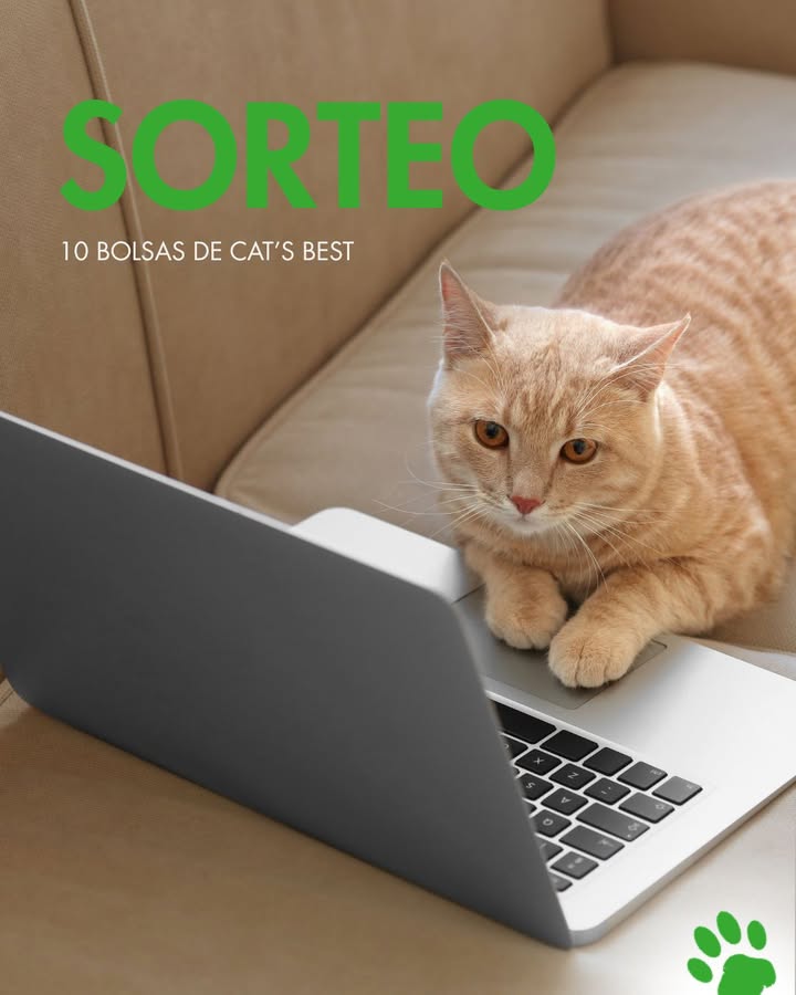 Imagen de #SORTEO: ¡Mayo termina con regalo!
Sorteamos 10 bolsas de p