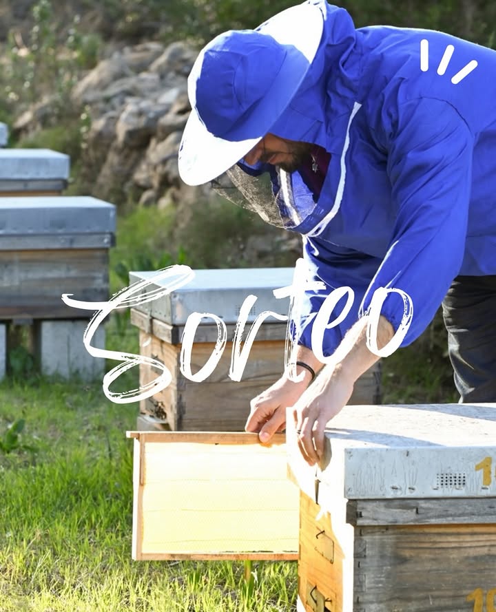 Imagen de 🍯🐝 ¡SORTEO FAMILIAR! ¿Os apetece convertiros en apic