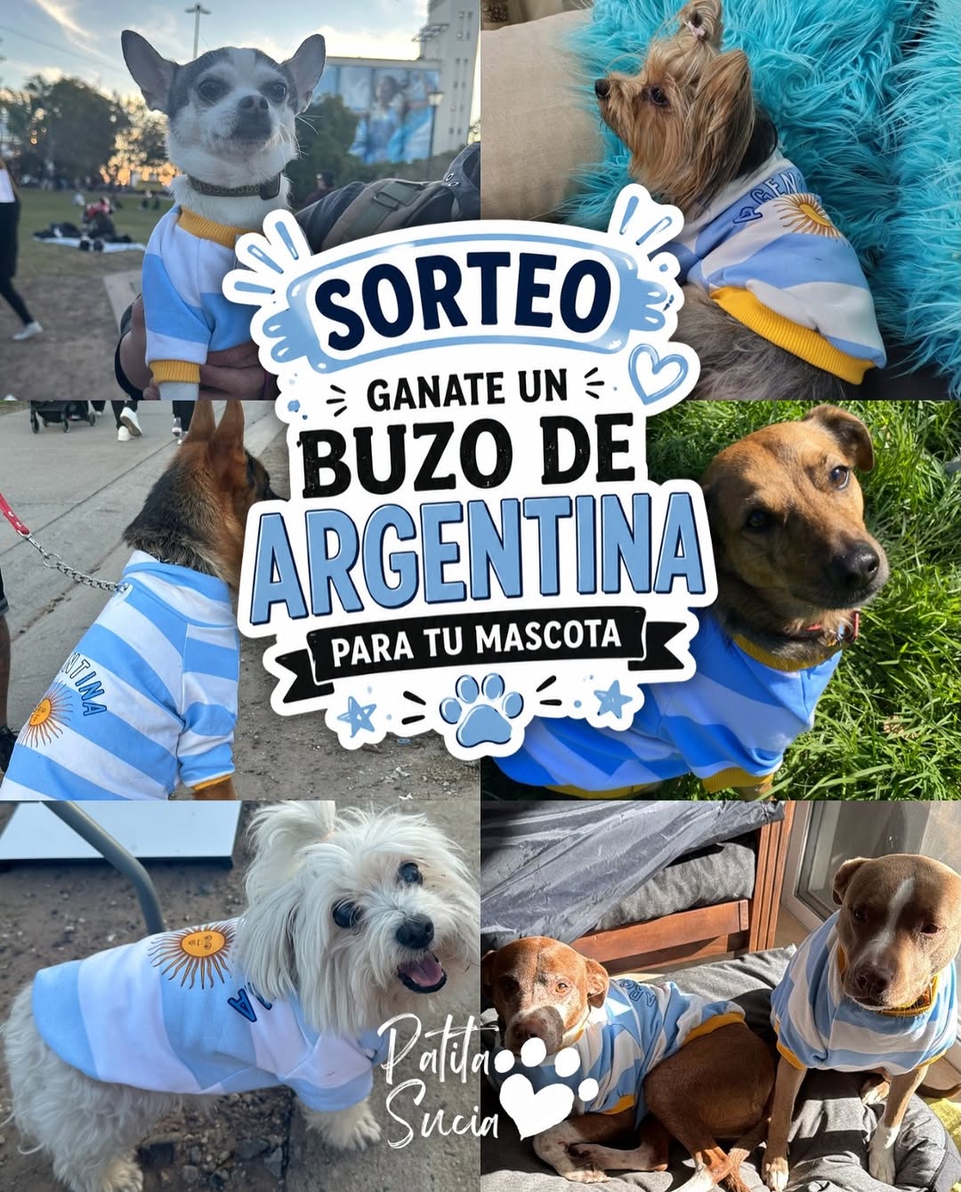 Imagen de 🎁 SORTEAMOS UN BUZO DE ARGENTINA PARA TU MASCOTA 🇦🇷