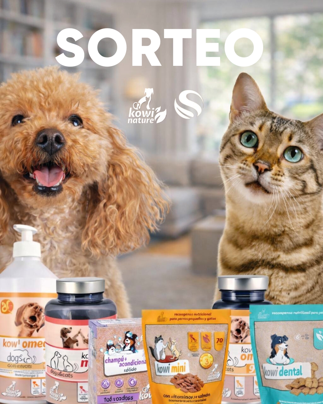 Imagen de Porque ellos también merecen lo mejor...​
¡Participa en 