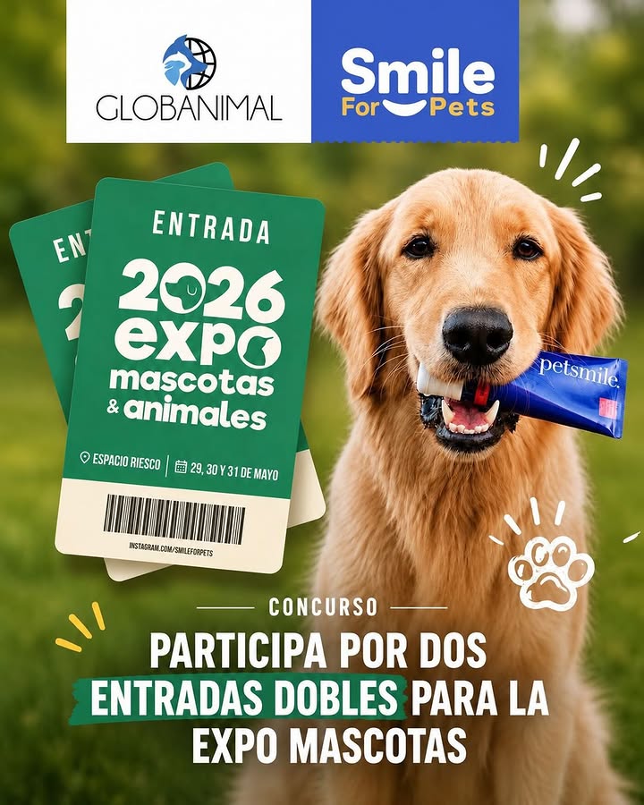 Imagen de CONCURSO especial para ti… que amas a tus 😻 🐶 🐾
.